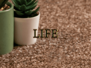 Life